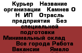 Курьер › Название организации ­ Камнев О.Н, ИП › Отрасль предприятия ­ Без специальной подготовки › Минимальный оклад ­ 30 000 - Все города Работа » Вакансии   . Ямало-Ненецкий АО,Муравленко г.